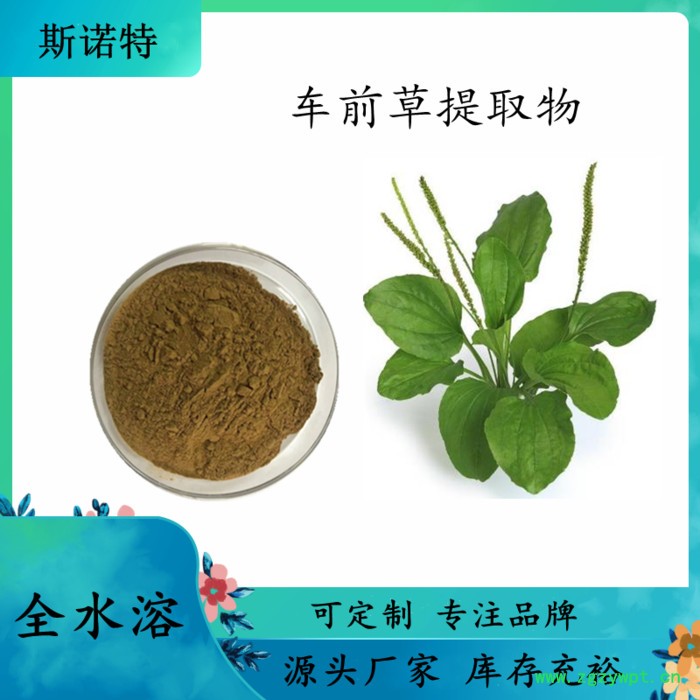 骨碎补提取物 骨碎补浸膏粉 水溶 99% 可定制图2