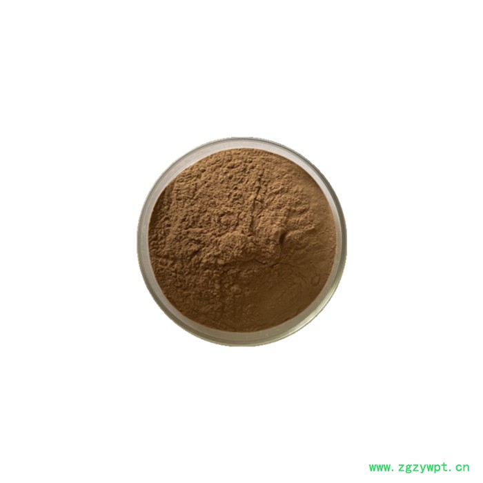 骨碎补提取物 骨碎补浸膏粉 水溶 99% 可定制图4