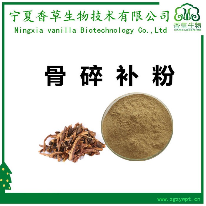 骨碎补提取物30:1 香草生物供应骨碎补粉 肉碎补提取物 骨碎补提取液现做图7