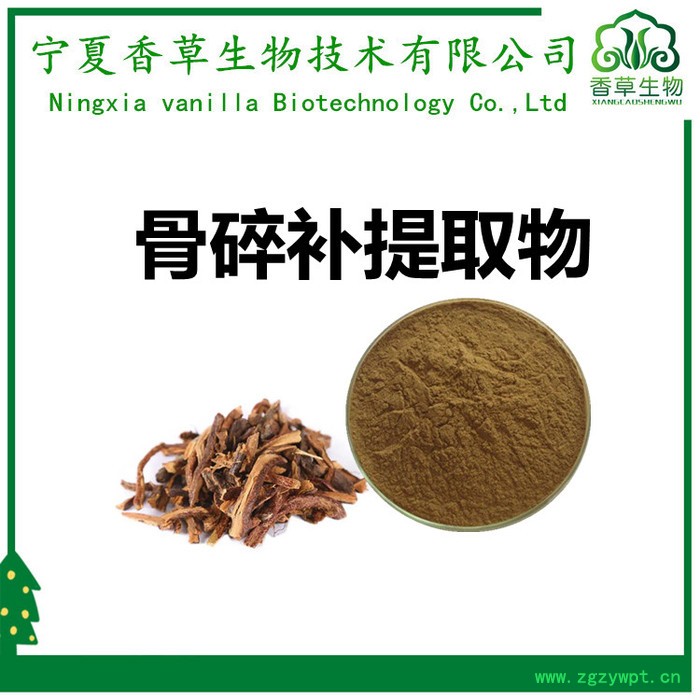 骨碎补提取物30:1 香草生物供应骨碎补粉 肉碎补提取物 骨碎补提取液现做图8