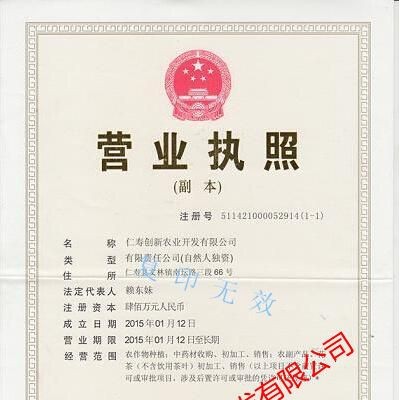 创新农业中药材丹参基苗基地批发 三叶青种子