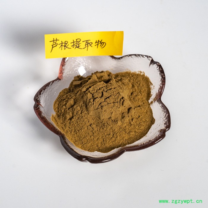 金萃坊 芦根提取物 10:1   芦根粉   芦根提取物图5