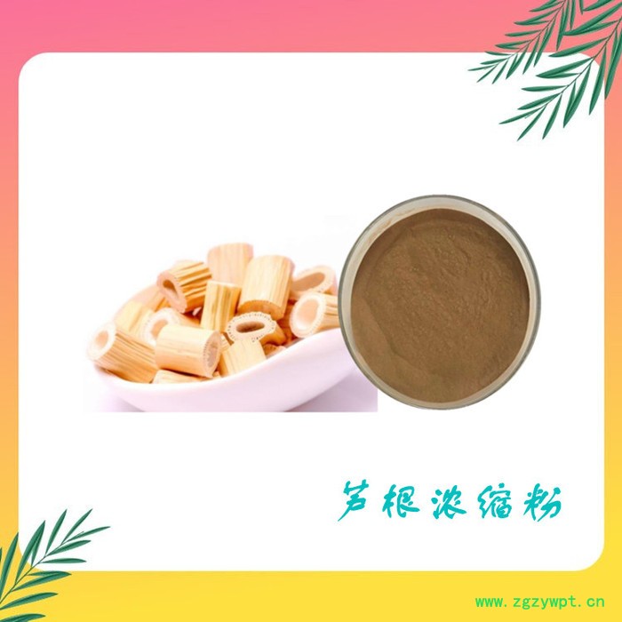 芦根浓缩粉 芦根提取物10:1 芦根速溶粉 可定制图2