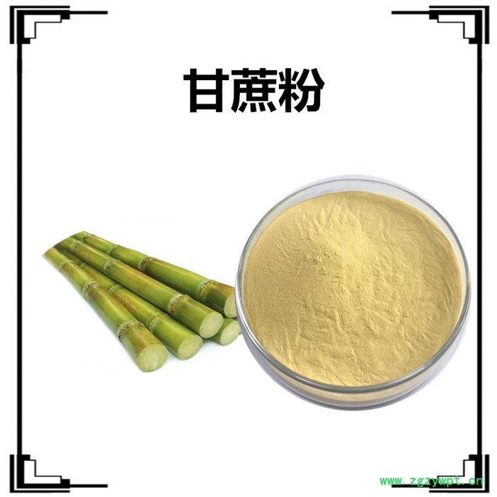 斯诺特 芦根提取物 芦根浓缩粉 芦根速溶粉图5