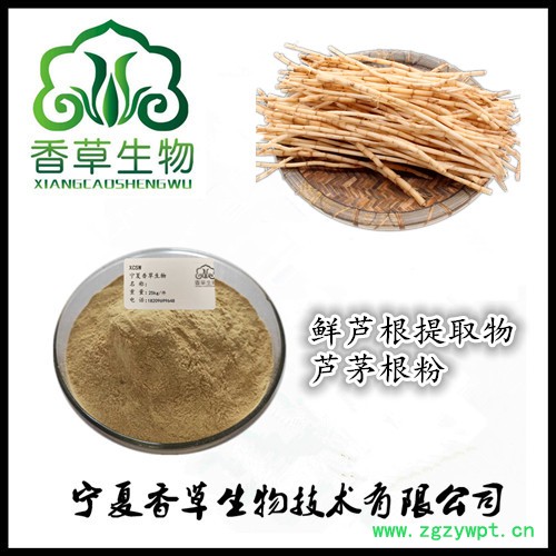 鲜芦根提取物出厂价 芦茅根粉80目 鲜芦根纯粉药食同源图3