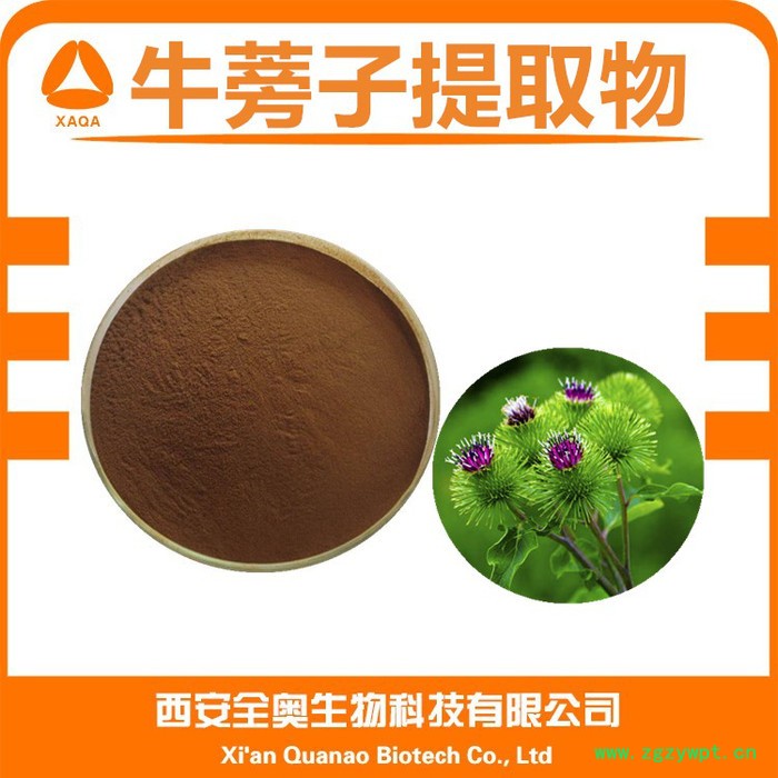 全奥生物 牛蒡根提取物 牛蒡根浸膏水溶  牛蒡根浸膏粉 牛蒡根提取图2