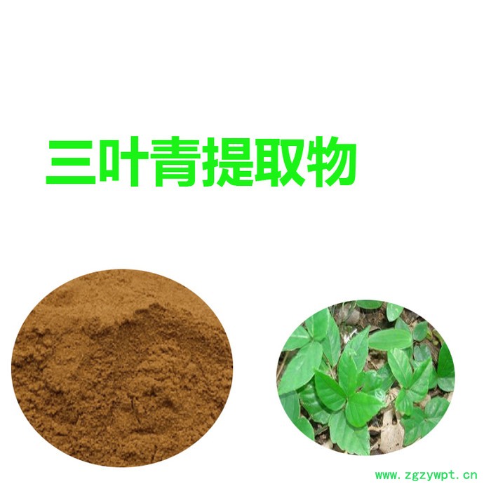 甘肃斯诺特  三叶青提取物  量大从优  三叶青粉 食品原料图2