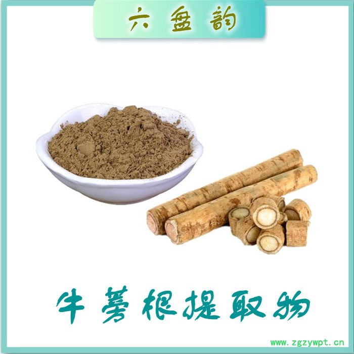 牛蒡根提取物 水溶 可定制 牛蒡根提取物厂家 牛蒡根碳粉 牛蒡根粉图3
