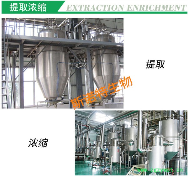 骨碎补提取物  多糖  水溶性骨碎补粉  斯诺特生物图3