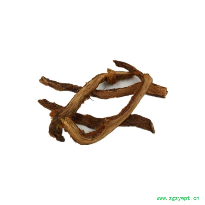 骨碎补浓缩粉 水溶 六盘韵 可定制 全国包邮图4