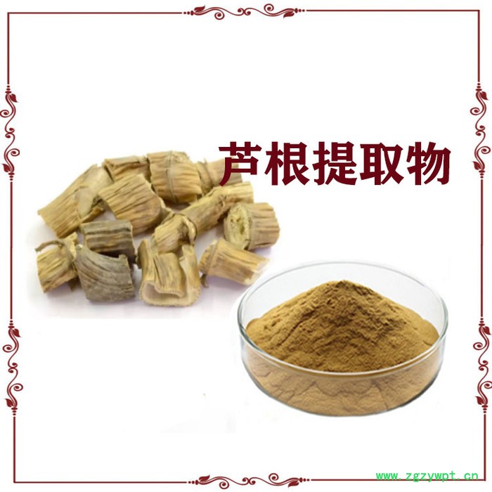 芦根提取物  10:1  芦根粉  芦根浸膏粉图2