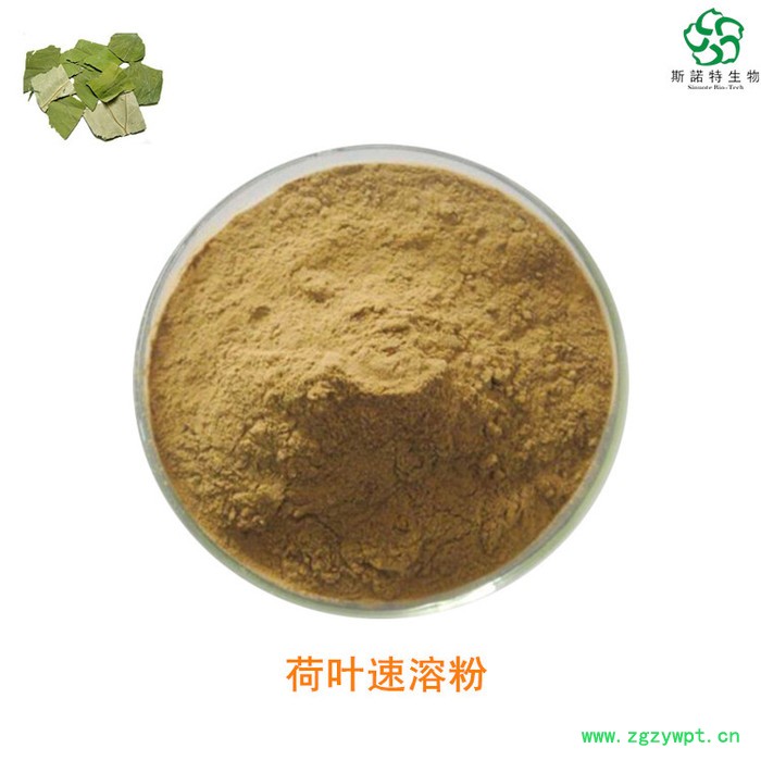 芦根速溶粉 芦根生粉 食品原料 厂家发货图7