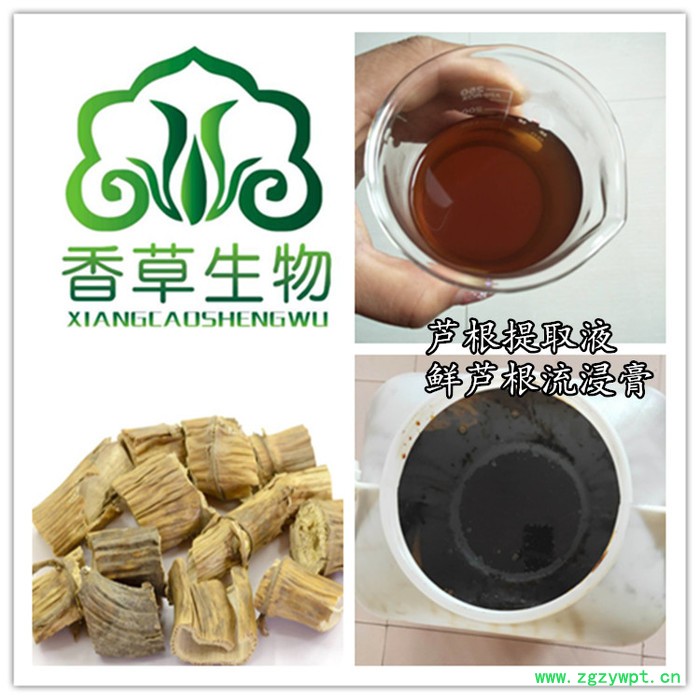 鲜芦根提取物20:1  速溶型芦根粉鲜芦根粉80目  芦根提取液浸膏现做图7