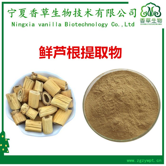 鲜芦根提取物20:1  速溶型芦根粉鲜芦根粉80目  芦根提取液浸膏现做图4