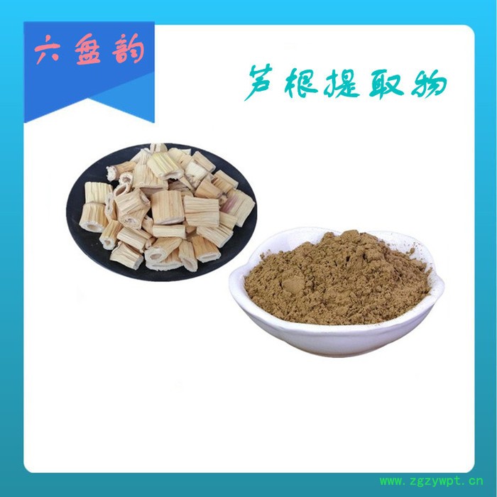 芦根粉 芦根提取物 六盘韵 可定制图3