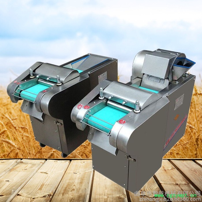 专业供应山药芦根切片机 水果茶切片机  胡萝卜切丝机图5