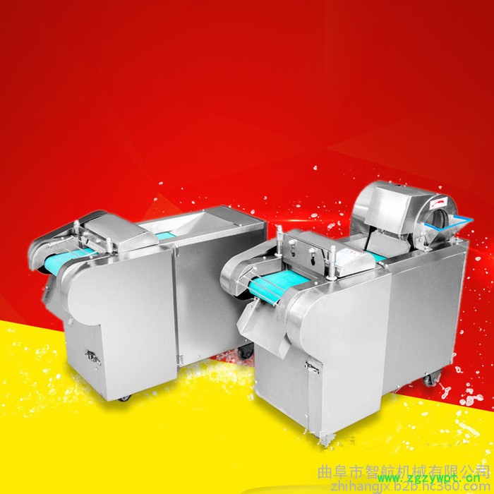 专业供应山药芦根切片机 水果茶切片机  胡萝卜切丝机图8