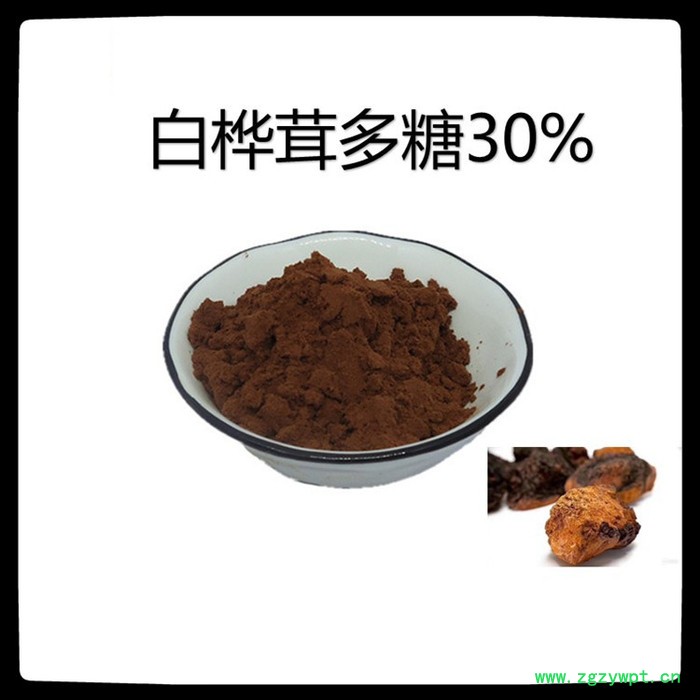 牛蒡根多糖30% 牛蒡根提取物 厂家萃取多糖 批发零售 含税含运图2