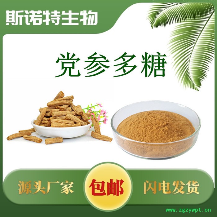 牛蒡根多糖30% 牛蒡根提取物 厂家萃取多糖 批发零售 含税含运图5