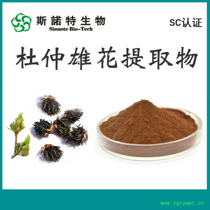 实力厂家 牛蒡根提取物 速溶粉 100目 喷雾干燥 膳食纤维 食品原料图2