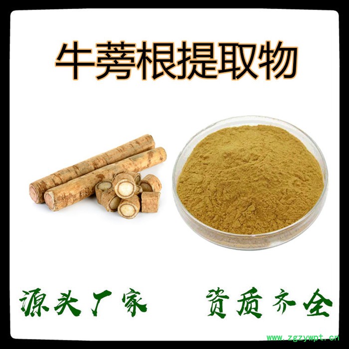牛蒡根提取物 99%牛蒡根粉 膳食纤维粉 厂家原料 发货包邮图3