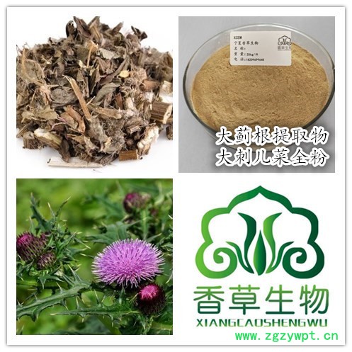 大戟提取物30:1 牛奶浆草粉水溶型 大戟根浸膏图3