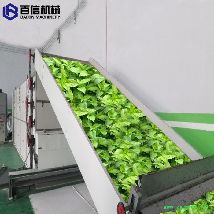 沙姜姜片大型烘干机 鲜姜烘干烤箱 带式穿流干燥机图5