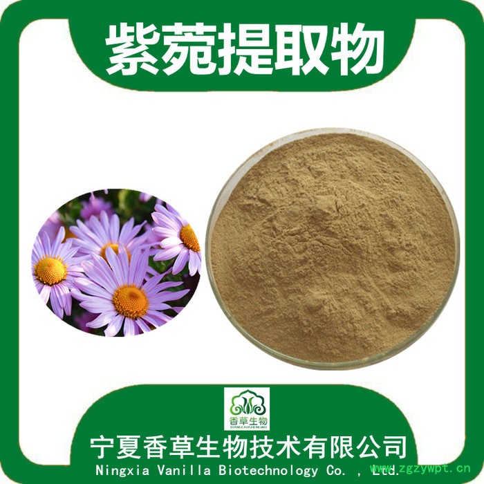 紫菀提取物10:1 宁夏厂家 紫苑粉 返魂草提取物供应图6