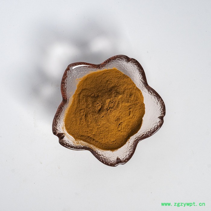 金萃坊厂家现货供应 菝葜提取物10：1图3