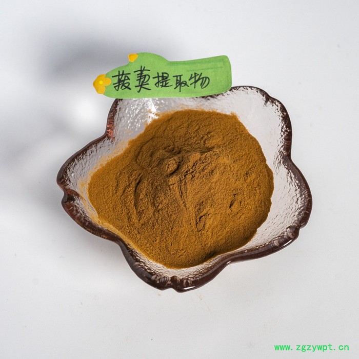 金萃坊厂家现货供应 菝葜提取物10：1图2