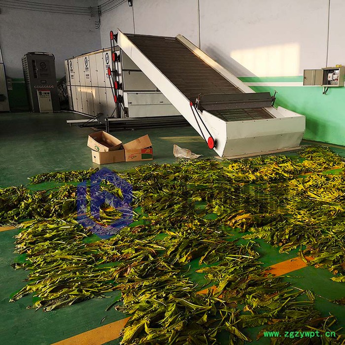 百信红大戟烘干机   红大戟脱水设备  红大戟干燥机    多层连续式网带红大戟烘干机图4