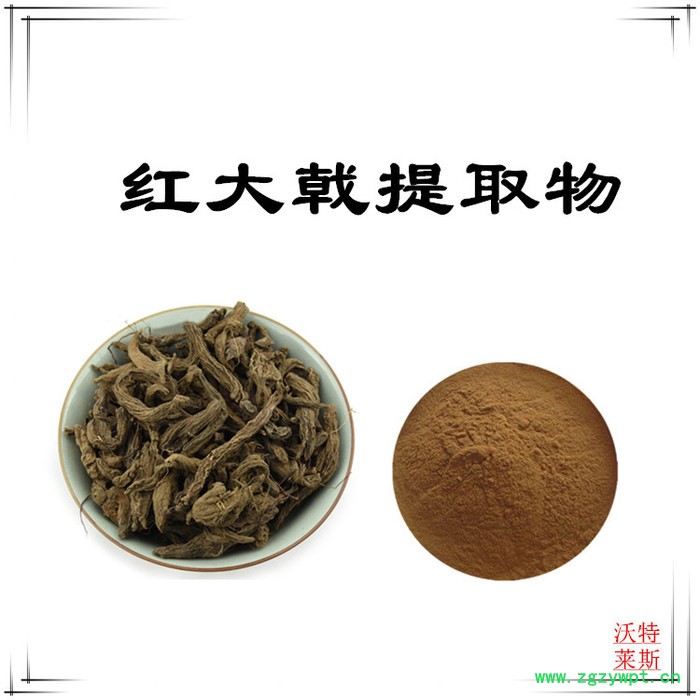 沃特莱斯 红大戟提取物10:1  速溶红大戟粉图3