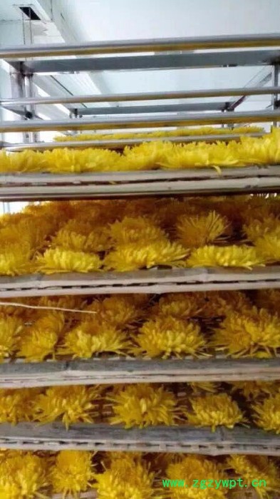 供应广东阳春沙姜空气能热泵烘干机_厂家新推出小型沙姜空气能热泵烘干设备 空气能烘干机图2