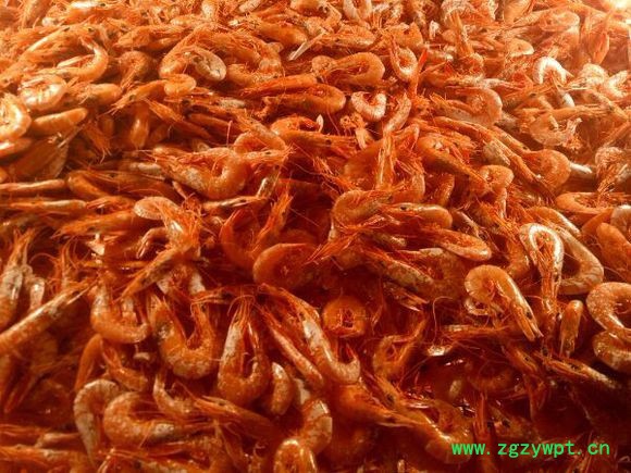 供应广东阳春沙姜空气能热泵烘干机_厂家新推出小型沙姜空气能热泵烘干设备 空气能烘干机图5