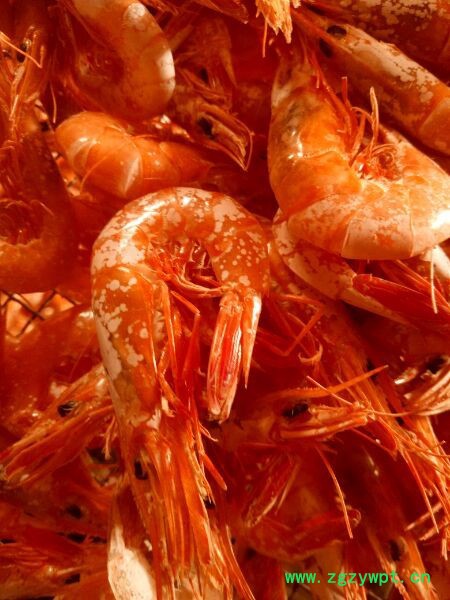 供应广东阳春沙姜空气能热泵烘干机_厂家新推出小型沙姜空气能热泵烘干设备 空气能烘干机图6