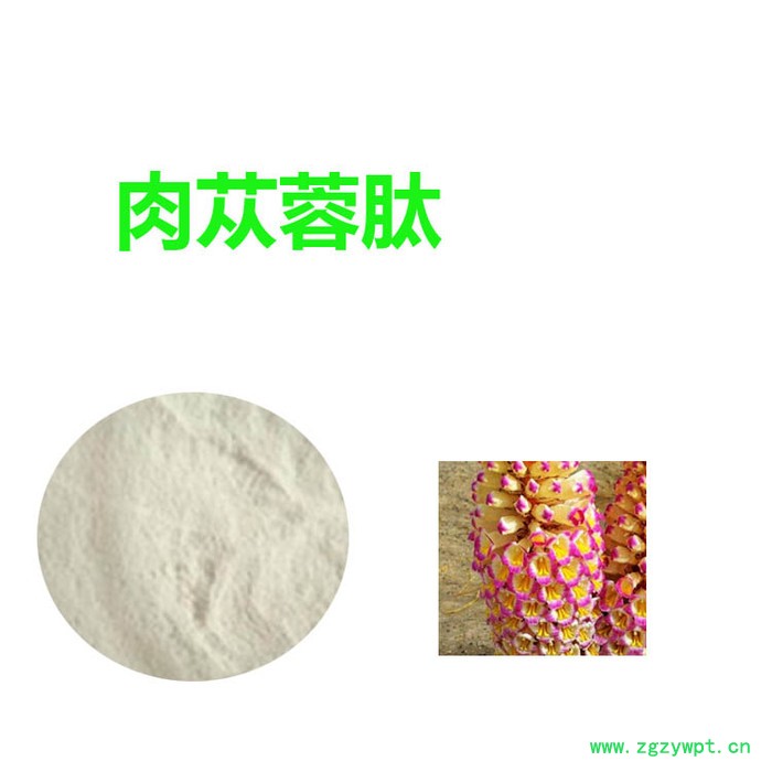 甘肃斯诺特 肉苁蓉低聚肽     量大从优      肉苁蓉多肽图5