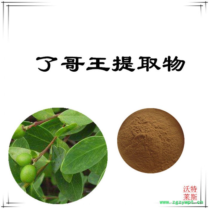 沃特莱斯 了哥王提取物10:1  速溶了哥王粉图5