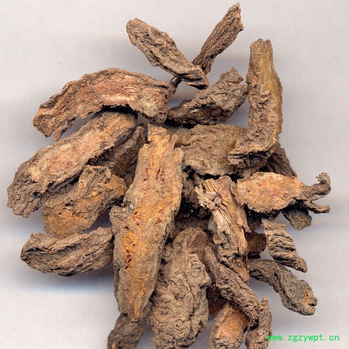 大戟速溶粉 大戟浓缩粉 植物提取物 生产厂家 斯诺特图6