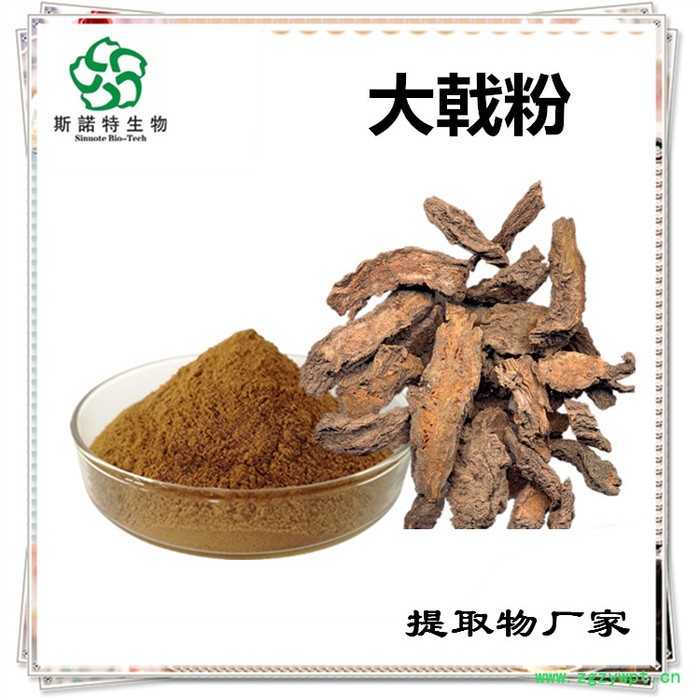 大戟速溶粉 大戟浓缩粉 植物提取物 生产厂家 斯诺特图2