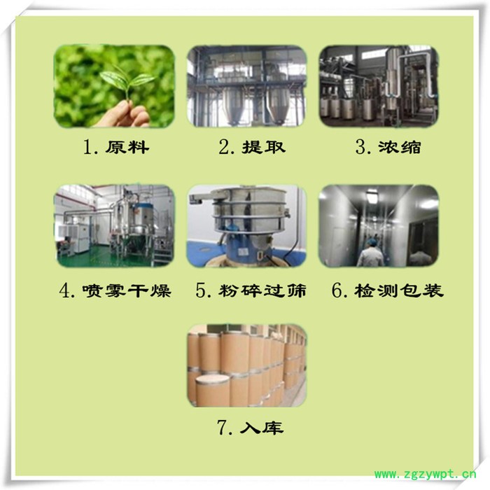 斯诺特 京大戟喷雾干燥粉 京大戟浸膏粉 植物提取物图5