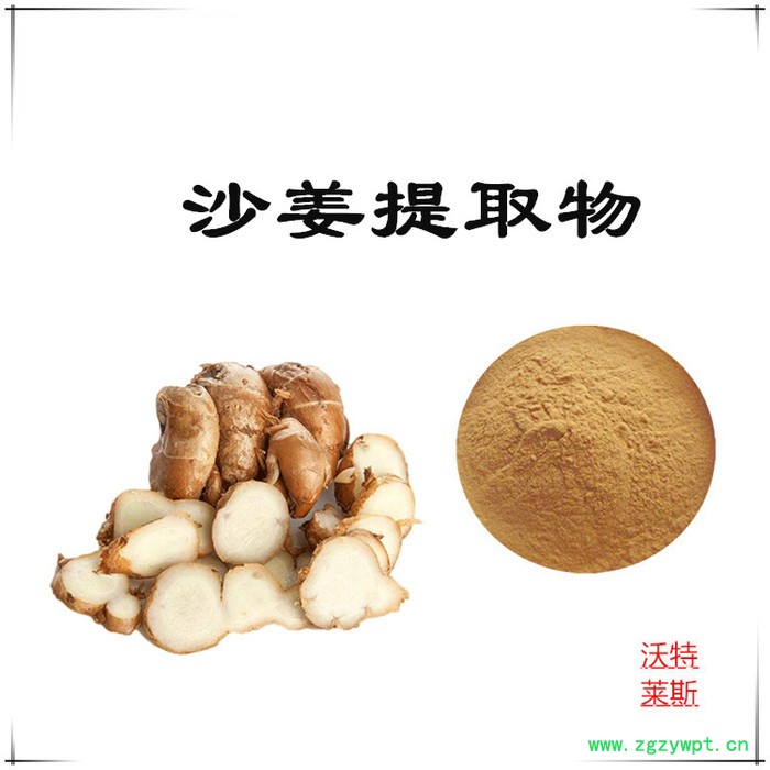 沃特莱斯 沙姜提取物10:1  速溶沙姜粉图5