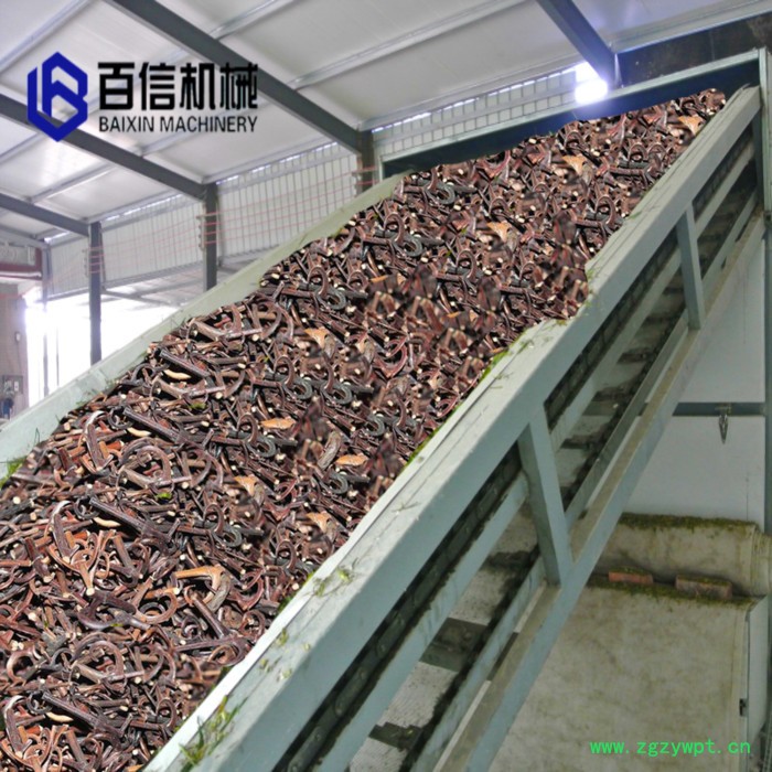 百信紫菀烘干机   紫菀脱水设备  紫菀干燥机    多层连续式网带紫菀烘干机图6