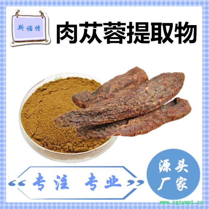 斯诺特 肉苁蓉粉 肉苁蓉速溶粉 厂家供应 包邮图8