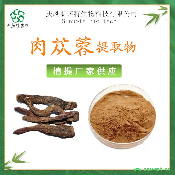 肉苁蓉提取物 速溶 肉苁蓉粉 浓缩浸膏 可定制生产图6