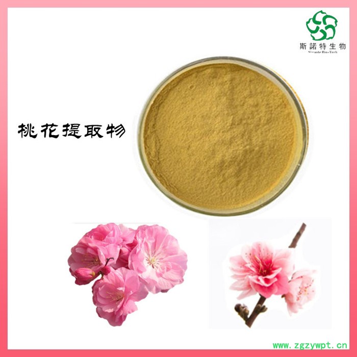 肉苁蓉提取物 速溶 肉苁蓉粉 浓缩浸膏 可定制生产图8