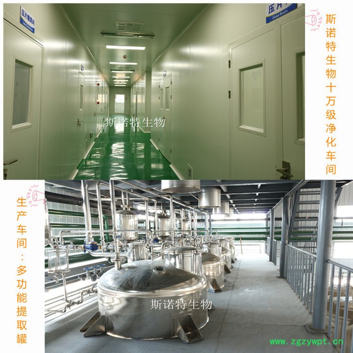 肉苁蓉提取物 速溶 肉苁蓉粉 浓缩浸膏 可定制生产图3