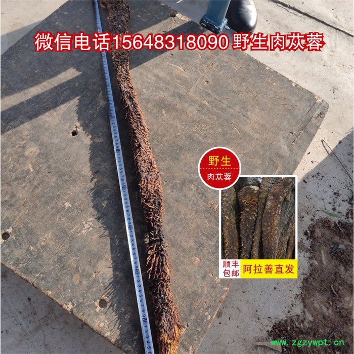 阿拉善肉苁蓉，肉苁蓉价格，正宗肉苁蓉，肉苁蓉泡酒配方图4