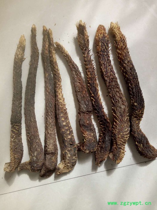 阿拉善肉苁蓉，肉苁蓉价格，正宗肉苁蓉，肉苁蓉泡酒配方图3