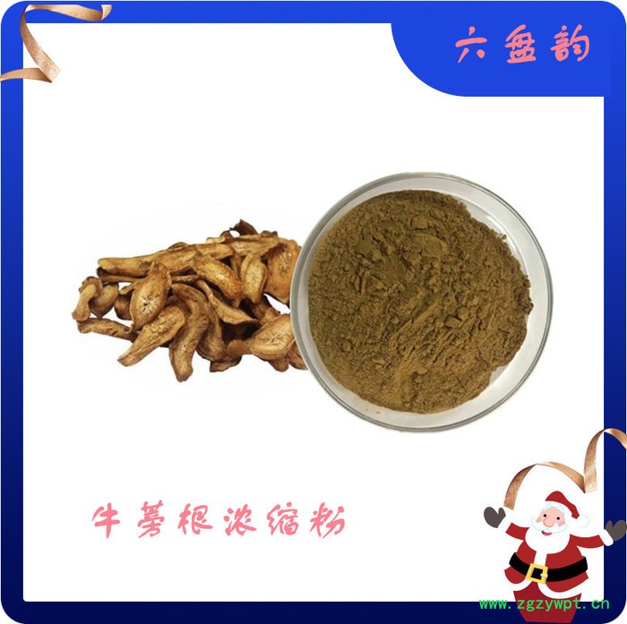 牛蒡根提取物 水溶 10:1 可定制 牛蒡根提取物图3