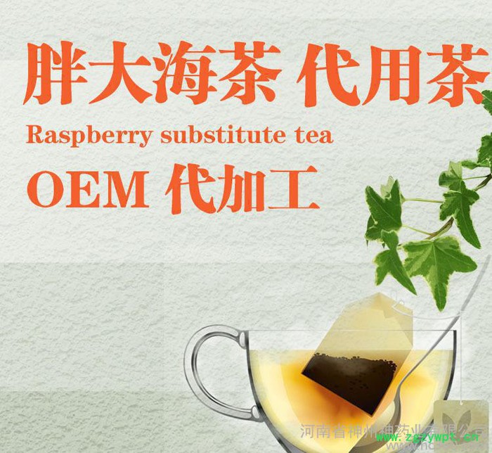 牛蒡根代用茶 袋泡茶 OEM贴牌 神州神药业 价格电议图2